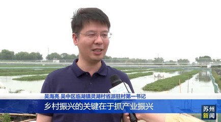 太湖“六月黃”首航迪拜 蘇州出口首單成功，水質改良劑研發助力生態共贏