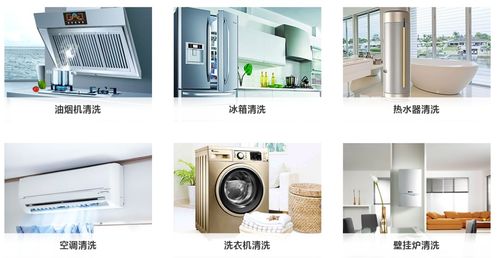 揭秘 2020為什么這個項(xiàng)目越來越火