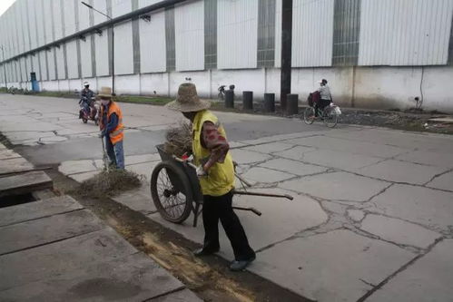 打頭陣 當先鋒 勇擔當——綜合服務公司創建清潔工廠在行動